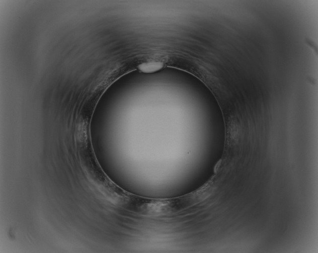X0000101120172200807031812