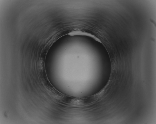 X0000101120174200807031812