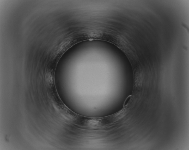 X0000101120176200807031812