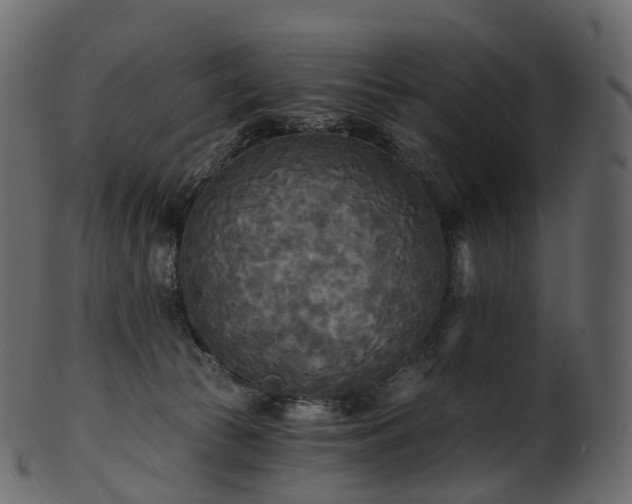 X0000101120177200807031812
