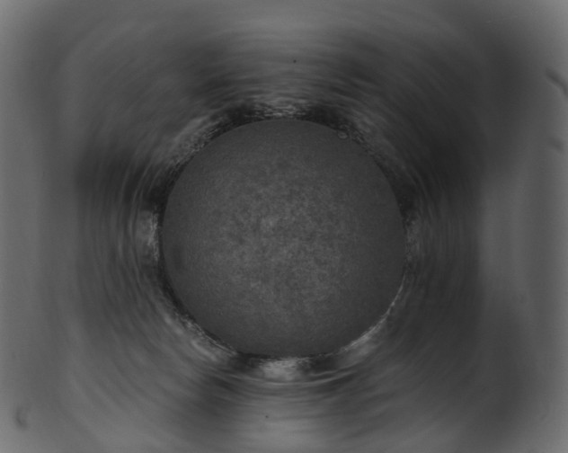 X0000101120178200807031812