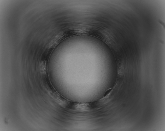 X0000101120179200807031812