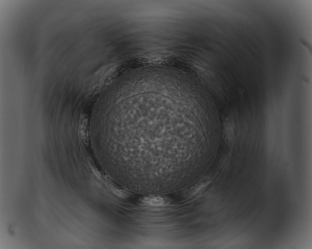 X0000101120181200807031812