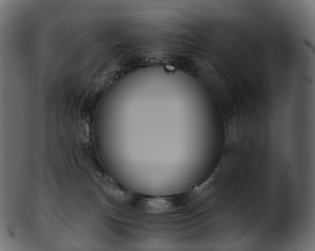 X0000101120183200807031812