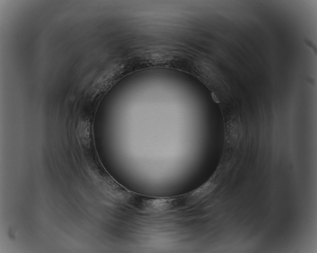 X0000101120184200807031812