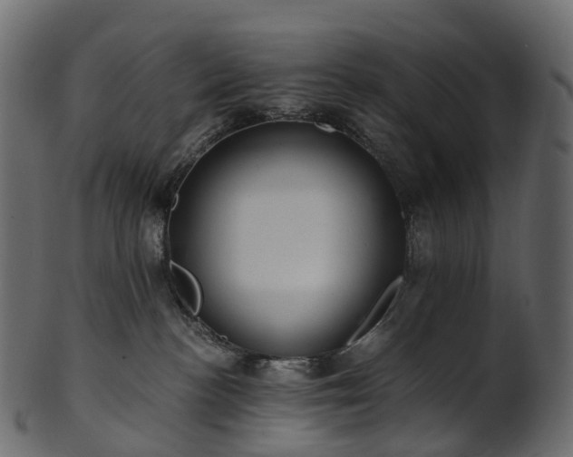 X0000101120188200807031812