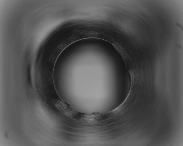 X0000101120190200807031812