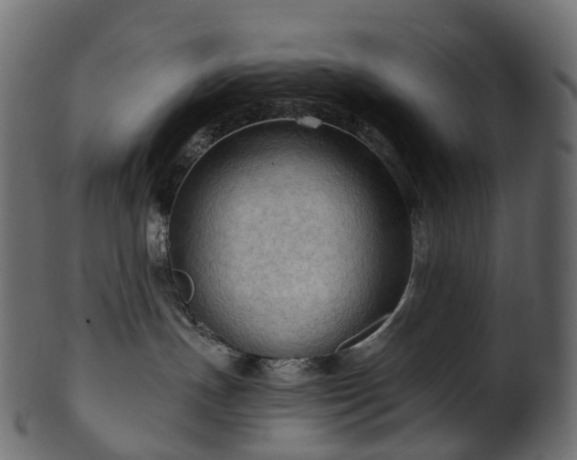 X0000101120191200807031812