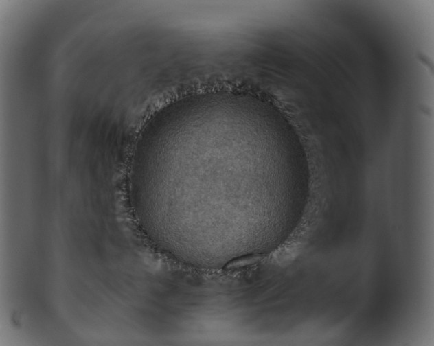 X0000101120192200807031812