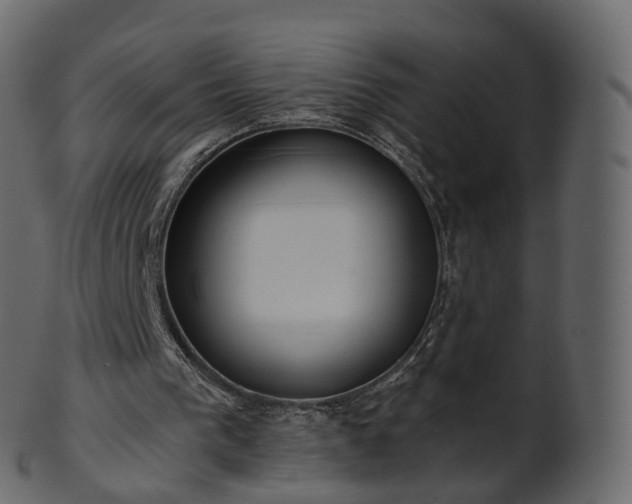 X0000101120193200807031811