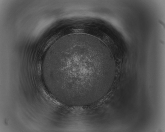 X0000101120194200807031811