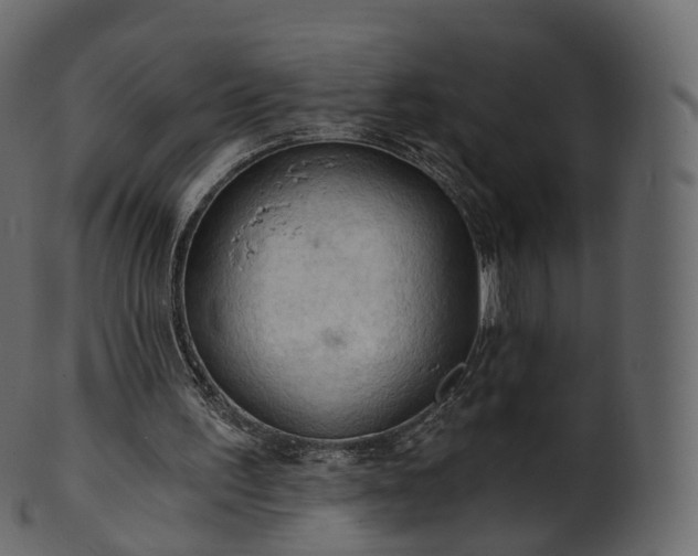 X0000101120195200807031811