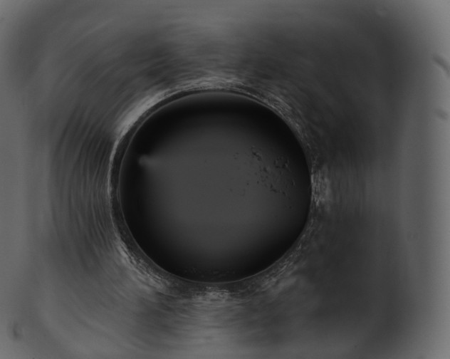 X0000101120196200807031811