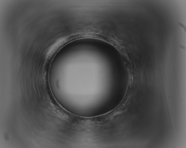 X0000101120197200807031811