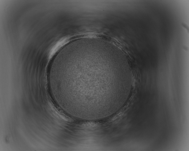 X0000101120198200807031811