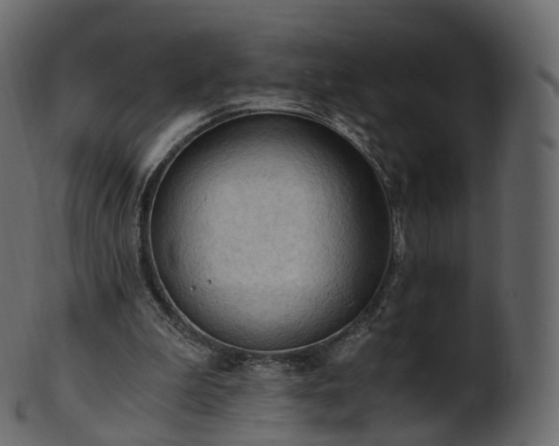 X0000101120199200807031811