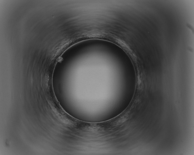 X0000101120201200807031811