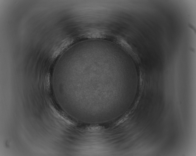X0000101120202200807031811