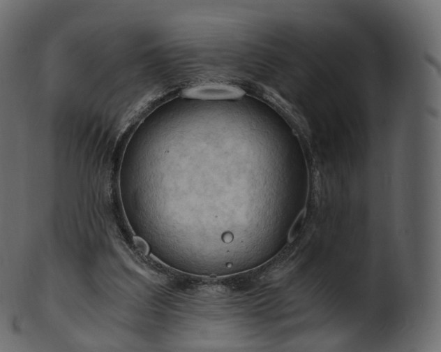 X0000101120203200807031811