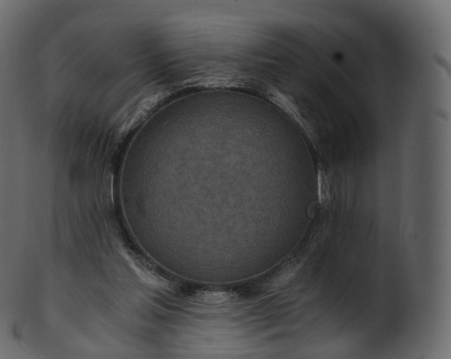 X0000101120205200807031811