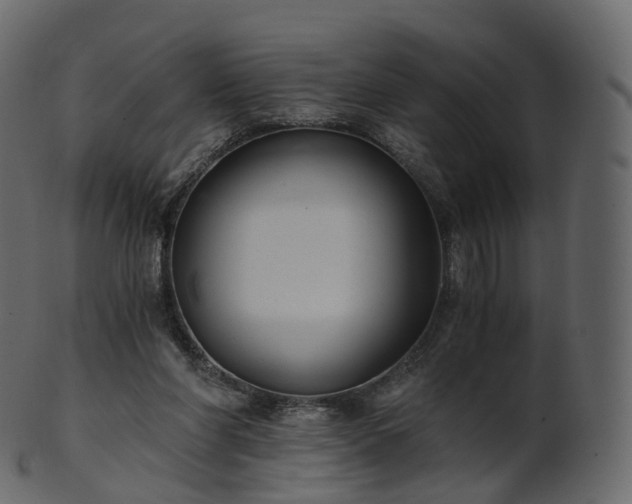 X0000101120206200807031811