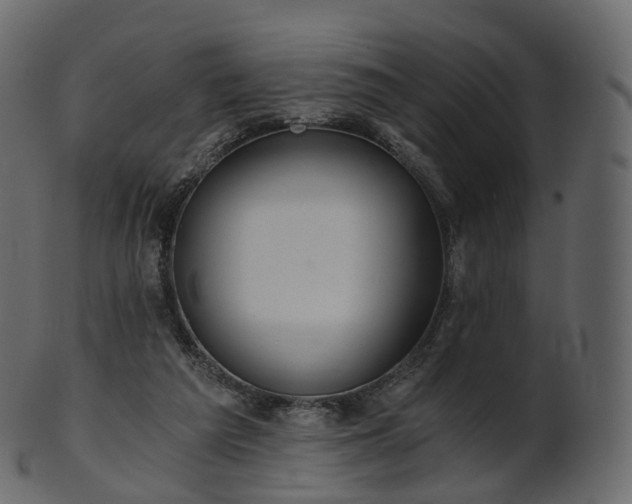 X0000101120209200807031811