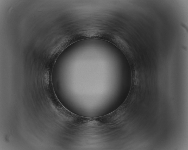 X0000101120210200807031811