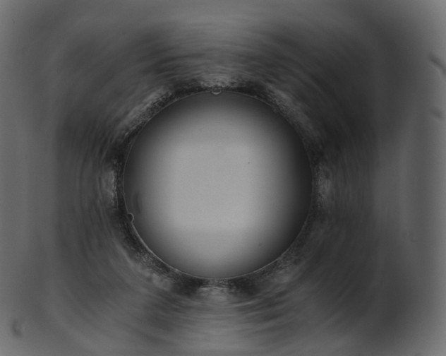 X0000101120211200807031811