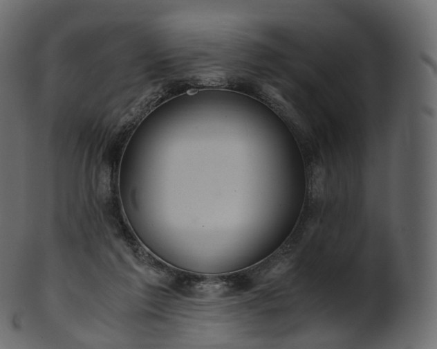 X0000101120213200807031811