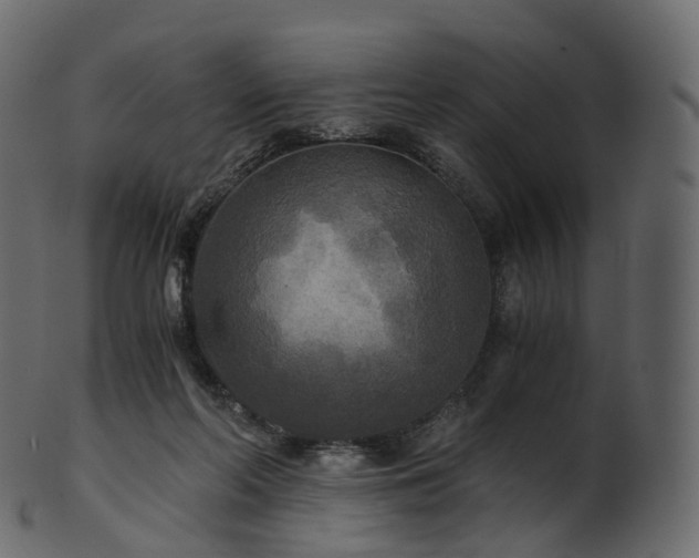 X0000101120214200807031811