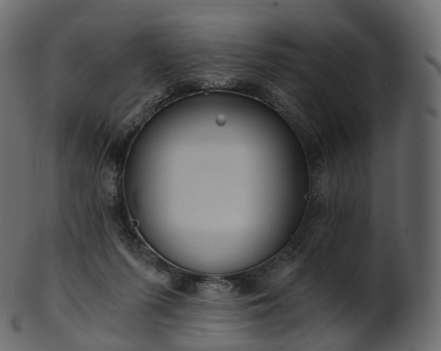 X0000101120215200807031811