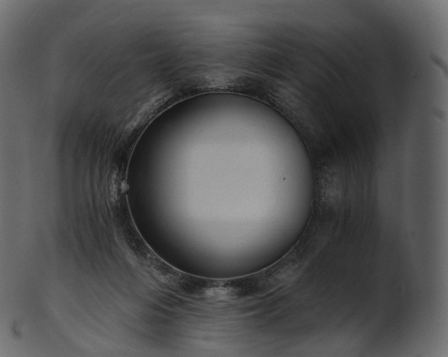 X0000101120216200807031811