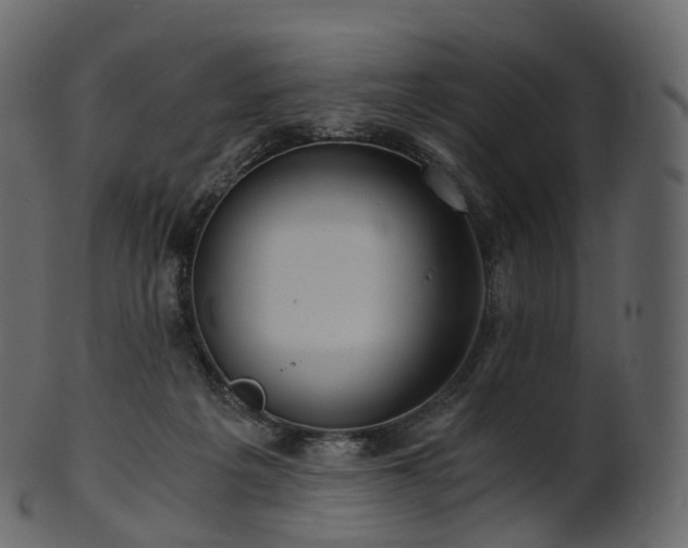 X0000101120217200807031811