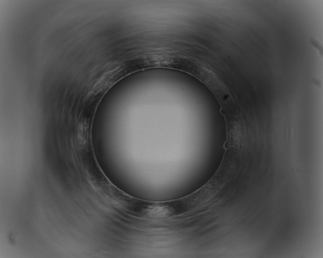 X0000101120218200807031811