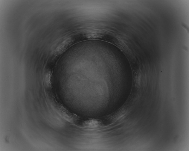 X0000101120219200807031811