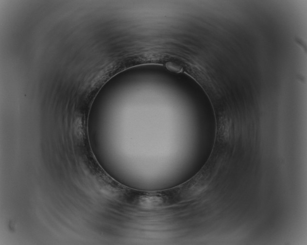 X0000101120220200807031811