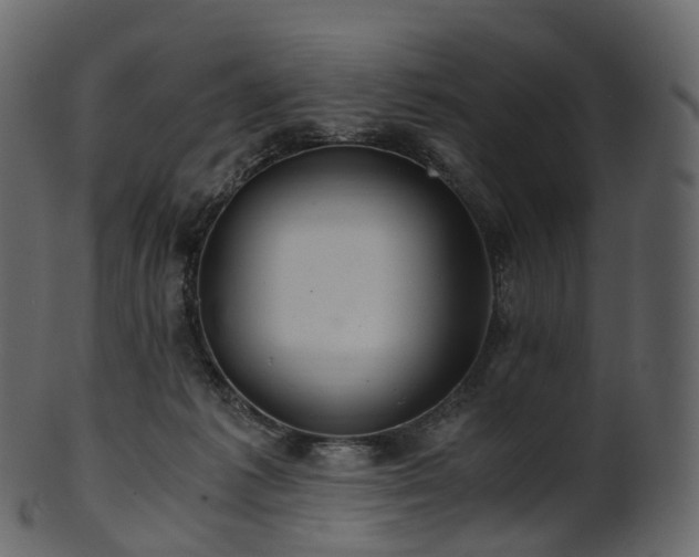 X0000101120221200807031811