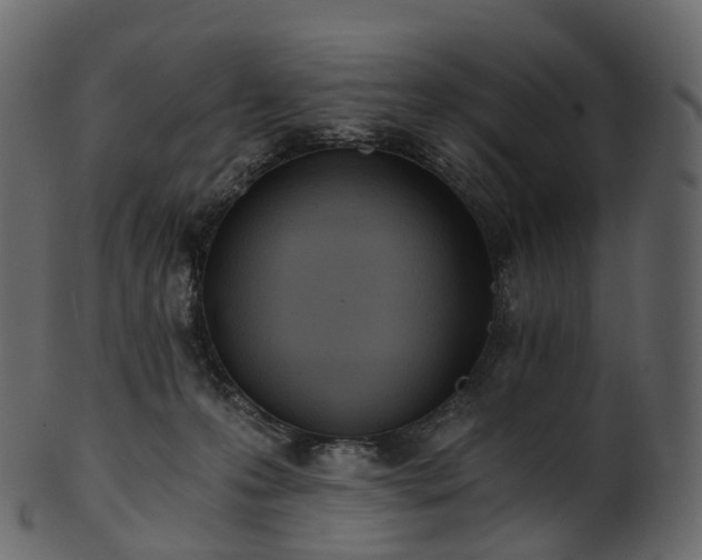 X0000101120223200807031811