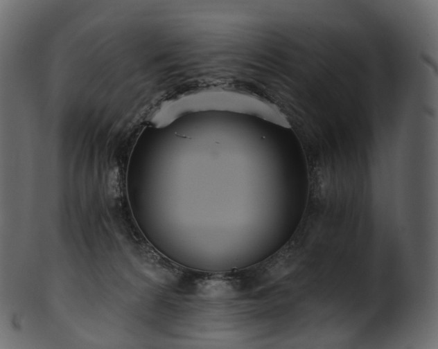 X0000101120224200807031811