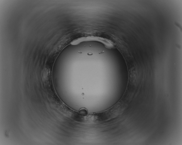 X0000101120225200807031811