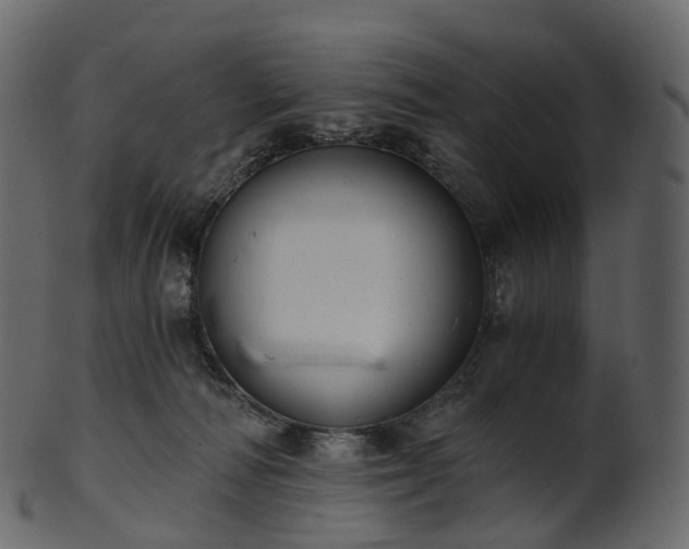 X0000101120226200807031811