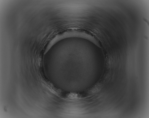 X0000101120227200807031811