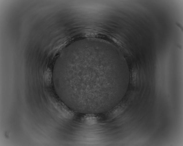 X0000101120228200807031811