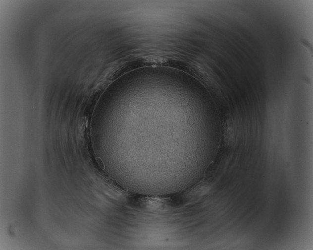 X0000101120229200807031811