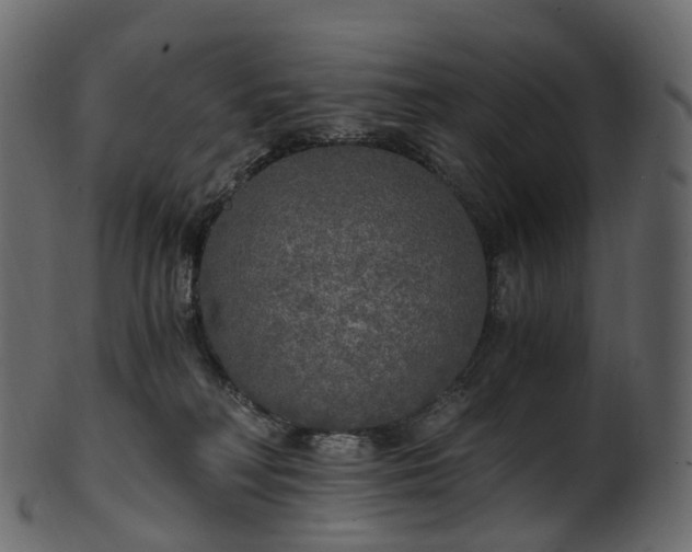X0000101120230200807031811
