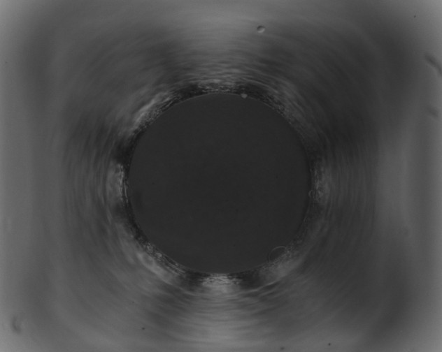X0000101120231200807031811
