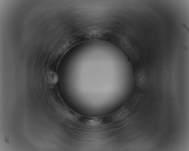 X0000101120232200807031811