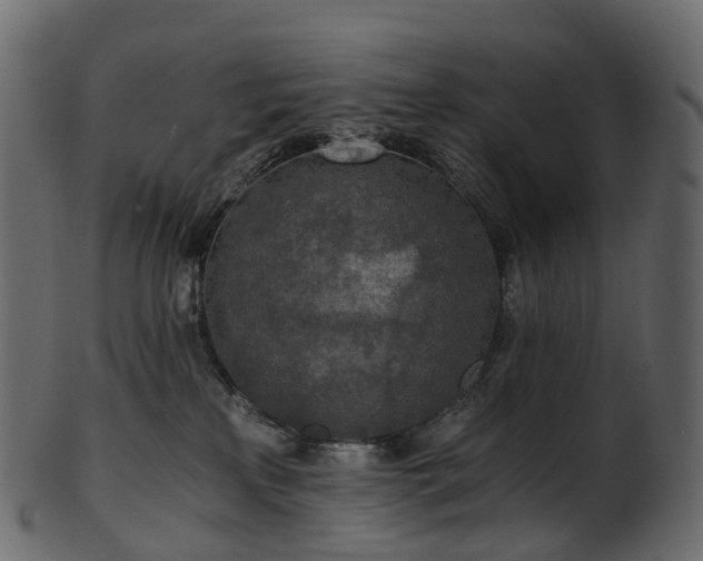 X0000101120233200807031811
