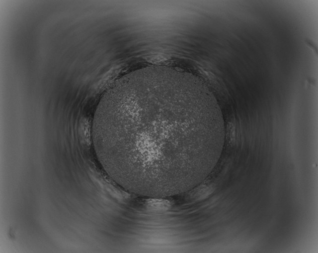 X0000101120234200807031811