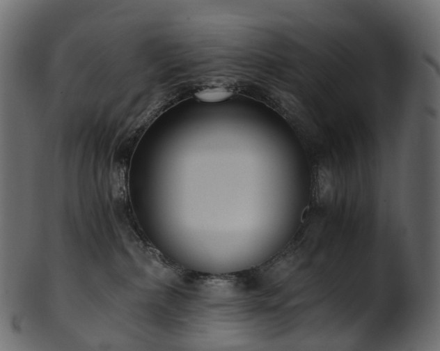 X0000101120236200807031811